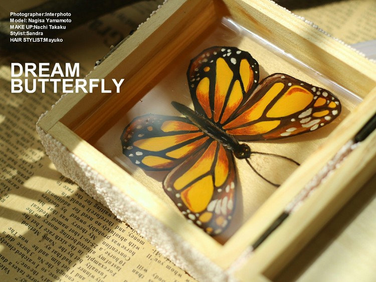 点击大图看下一张：小猫与蝴蝶