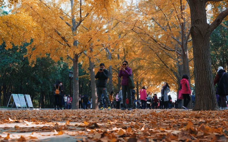 点击大图看下一张：北京印象