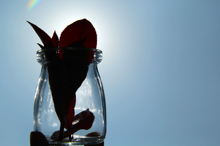 点击大图看下一张：瓶子的生活