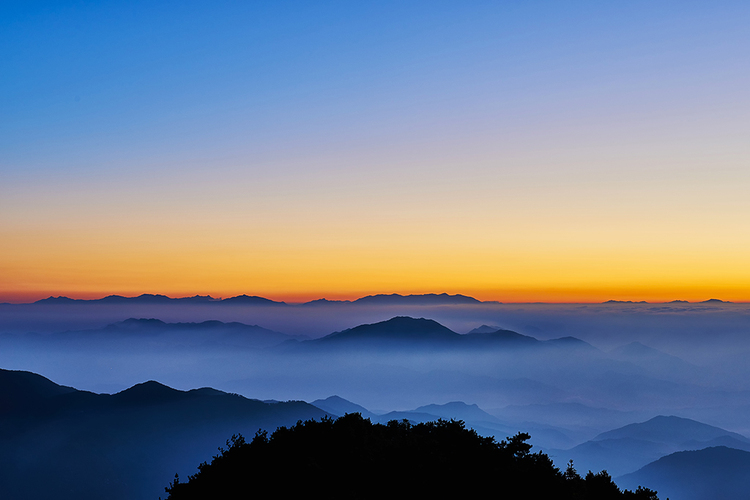 点击大图看下一张：大崎山风光