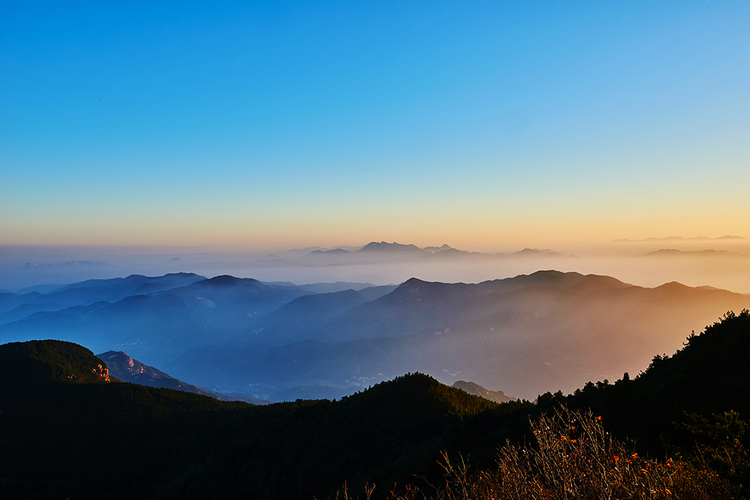 点击大图看下一张：大崎山风光