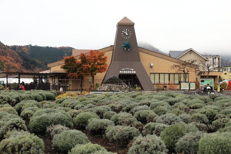 点击大图看下一张:游摄日本河口湖景