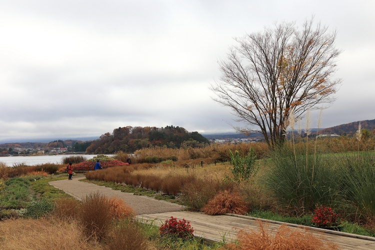 点击大图看下一张:游摄日本河口湖景