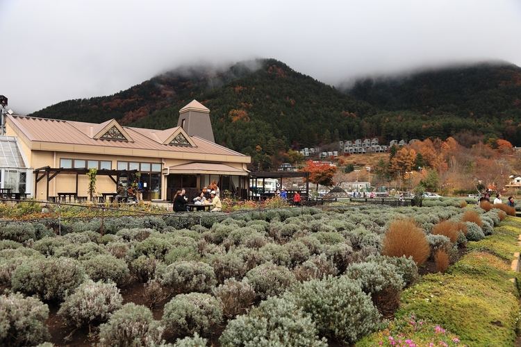 点击大图看下一张:游摄日本河口湖景