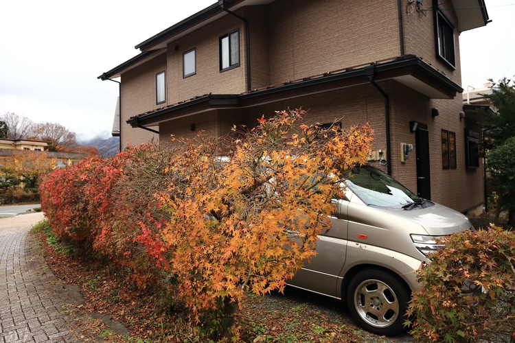 点击大图看下一张:游摄日本河口湖景