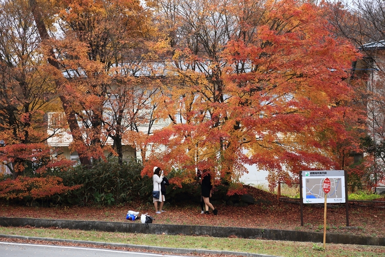 点击大图看下一张:游摄日本河口湖景