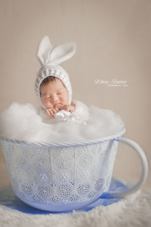 点击大图看下一张：杯子里面的小兔纸