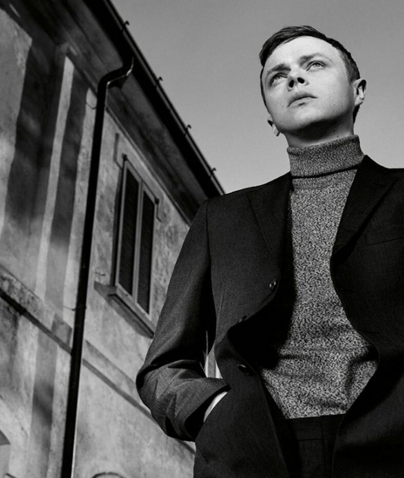 点击大图看下一张：戴恩德哈恩图片