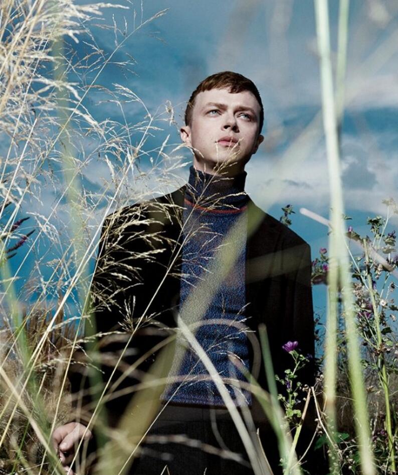 点击大图看下一张:戴恩德哈恩图片