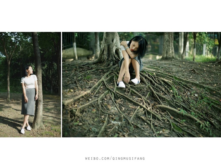 点击大图看下一张：冬日暖阳