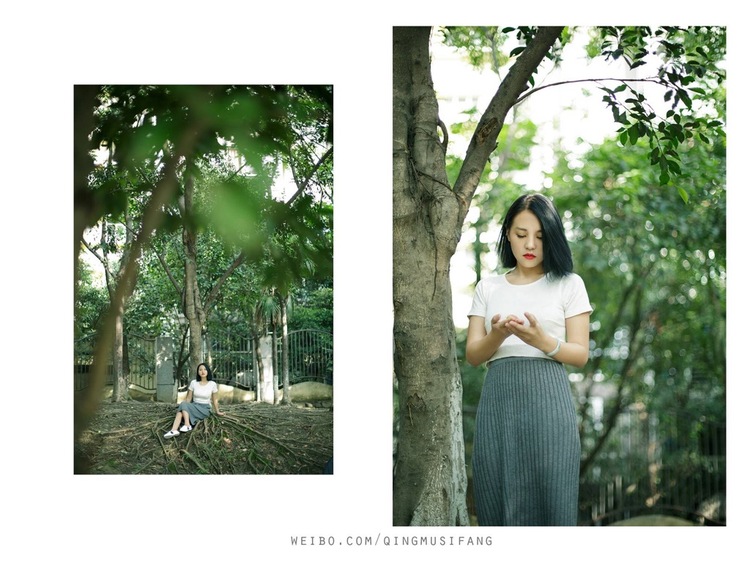 点击大图看下一张：冬日暖阳