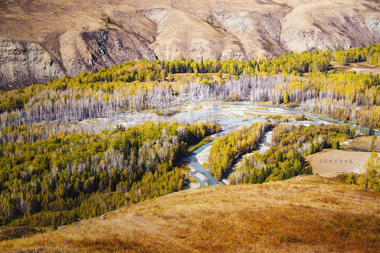 点击大图看下一张：北疆之秋