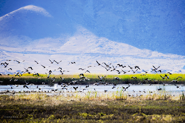 点击大图看下一张：北疆之秋
