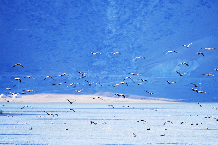 点击大图看下一张：北疆之秋