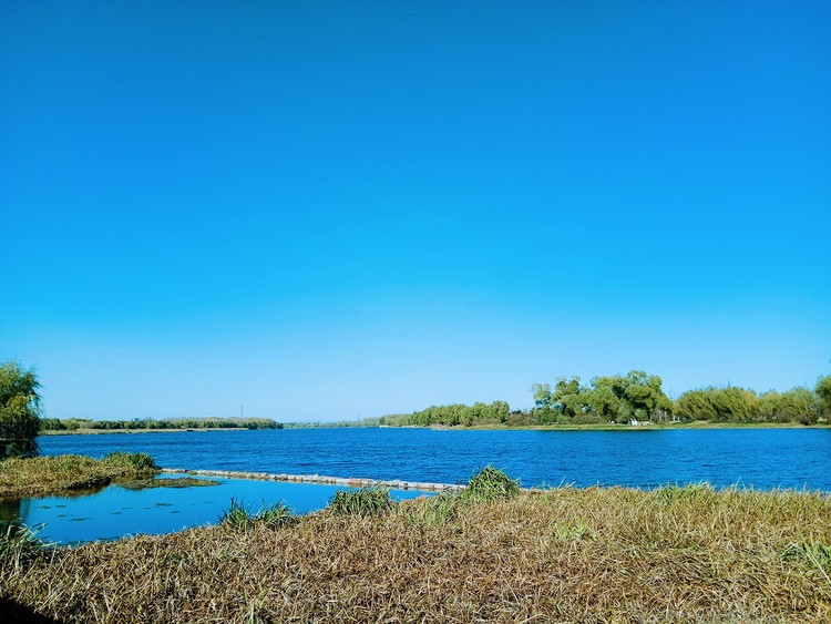 点击大图看下一张：大运河森林公园