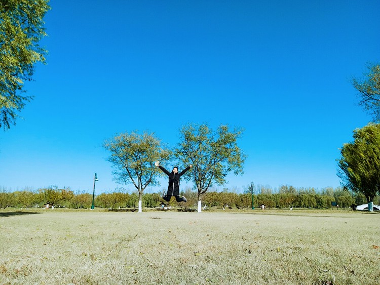 点击大图看下一张：大运河森林公园