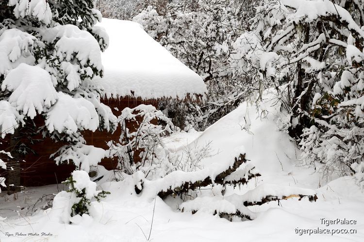 点击大图看下一张：秋末初冬之雪山之巅