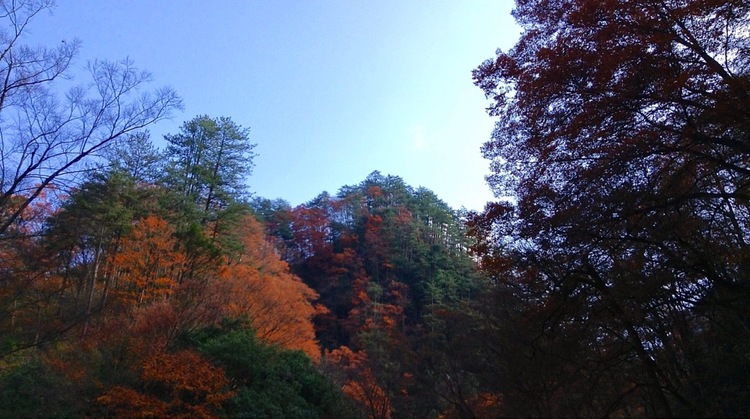 点击大图看下一张：五彩画廊光雾山