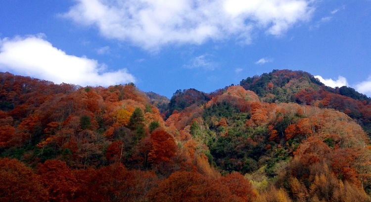 点击大图看下一张：五彩画廊光雾山