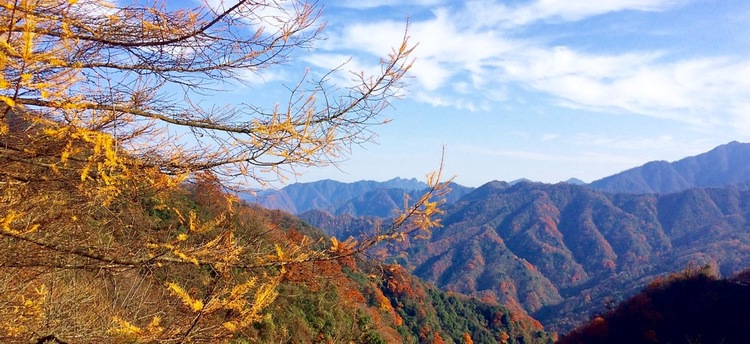 点击大图看下一张：五彩画廊光雾山