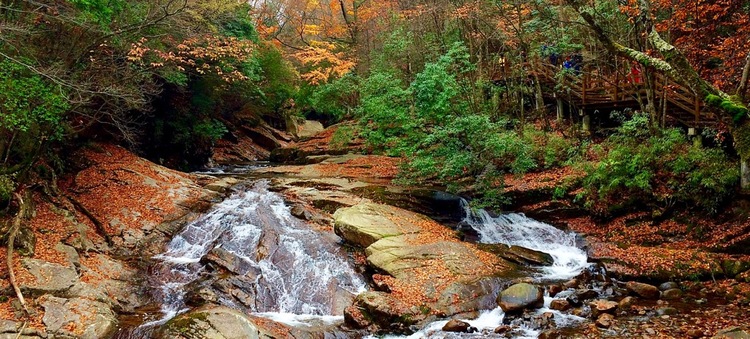 点击大图看下一张：五彩画廊光雾山