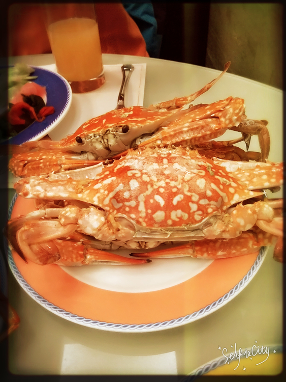 点击大图看下一张：玻璃苹果