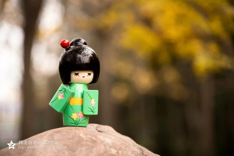 点击大图看下一张:绿子深秋漫游