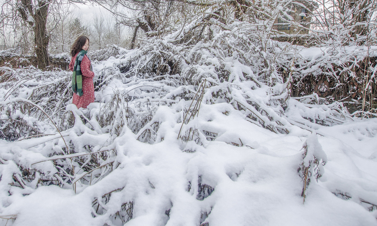 点击大图看下一张：小院又到飘雪时