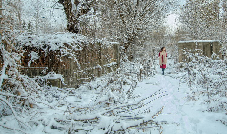 点击大图看下一张：小院又到飘雪时