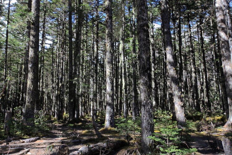 点击大图看下一张：冰湖卡瓦博格大本营