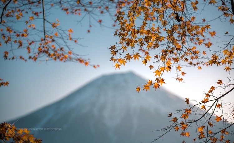 点击大图看下一张：富士山的夙愿