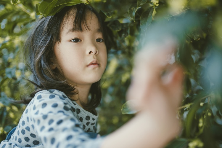 点击大图看下一张：甜甜桂花香