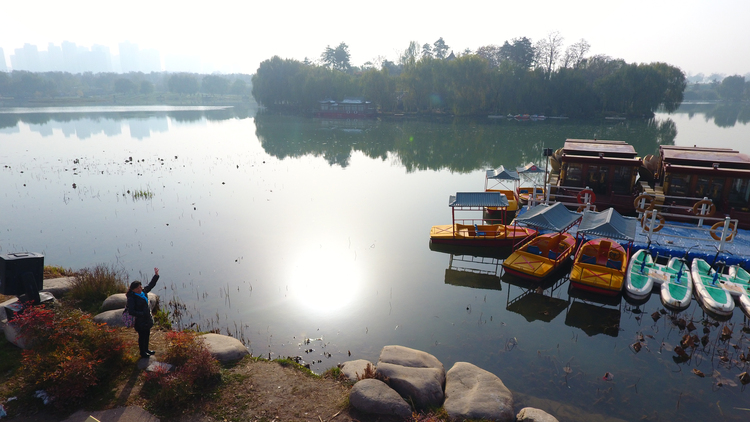 点击大图看下一张:多彩的森林城市