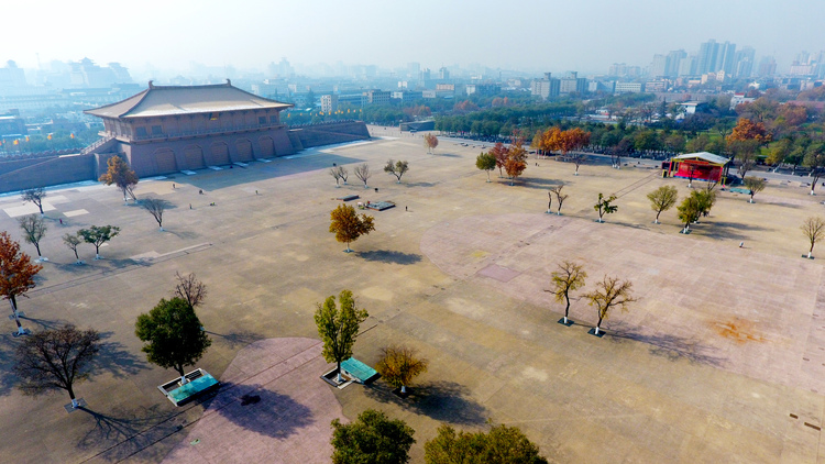 点击大图看下一张:多彩的森林城市