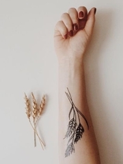 多款精致的小麦穗纹身图案