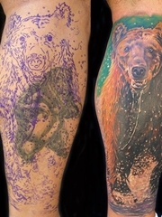 小腿上用更帅气的彩色大熊覆盖原来失败的熊纹身图片