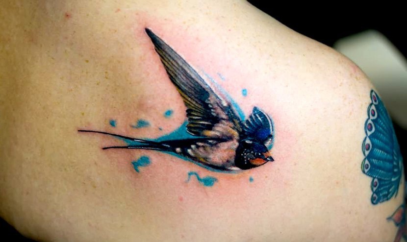 点击大图看下一张：多款漂亮的燕子纹身图案