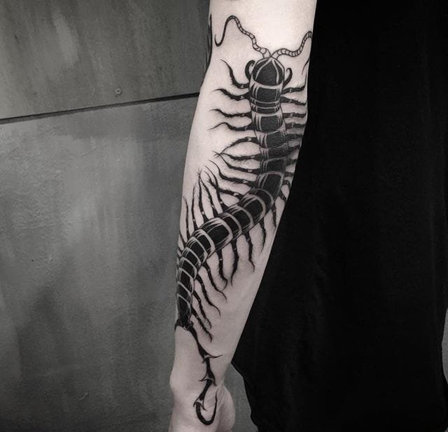 点击大图看下一张：10款漂亮黑色蜈蚣纹身图案
