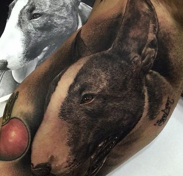 点击大图看下一张:11款厉害的宠物狗(牛头梗)纹身图案