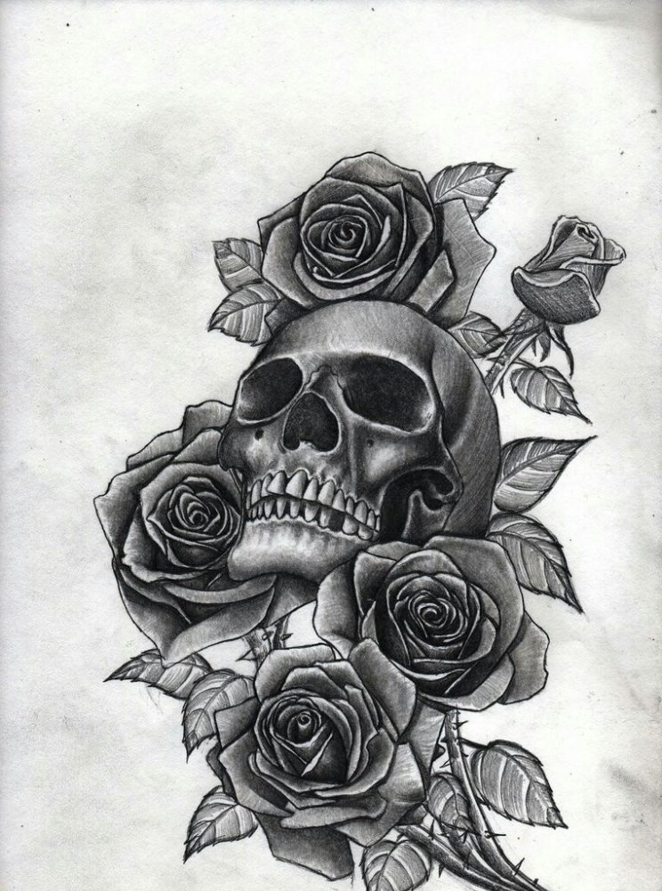 点击大图看下一张：多款黑灰色骷髅头和玫瑰花纹身图案手稿素材