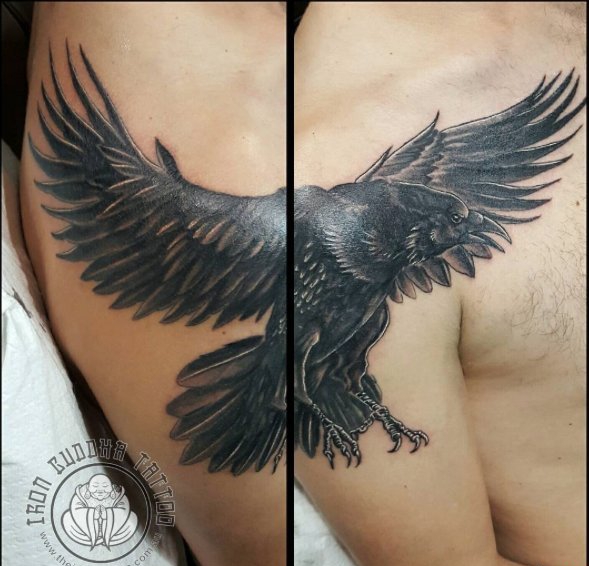点击大图看下一张：男性右手大臂上帅气的黑色雄鹰纹身图片