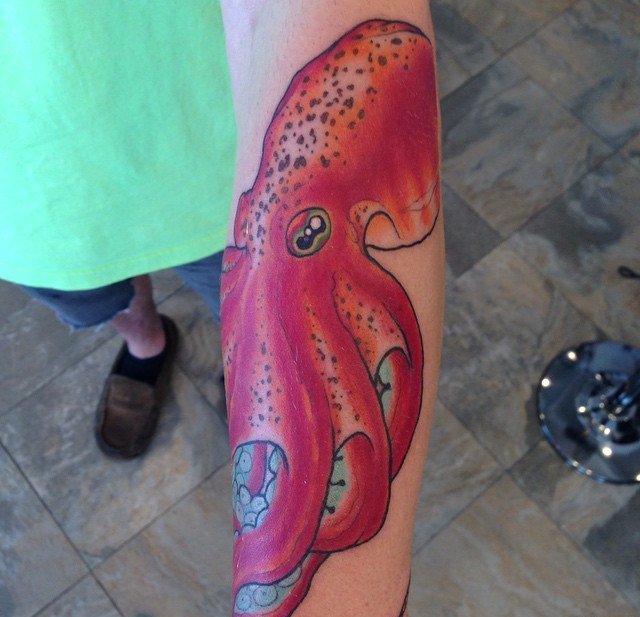 点击大图看下一张：多款手臂上精致漂亮的海洋章鱼纹身图案