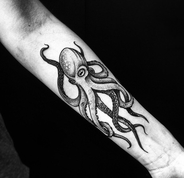 点击大图看下一张:多款手臂上精致漂亮的海洋章鱼纹身图案