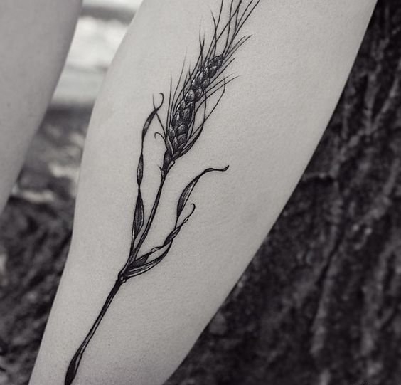 点击大图看下一张：多款精致的小麦穗纹身图案