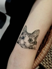 手臂一只大眼小花猫纹身图案