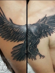 男性右手大臂上帅气的黑色雄鹰纹身图片