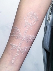女性的精致的白色玫瑰花隐形纹身图案