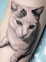 30款多种风格可爱的宠物猫纹身图案