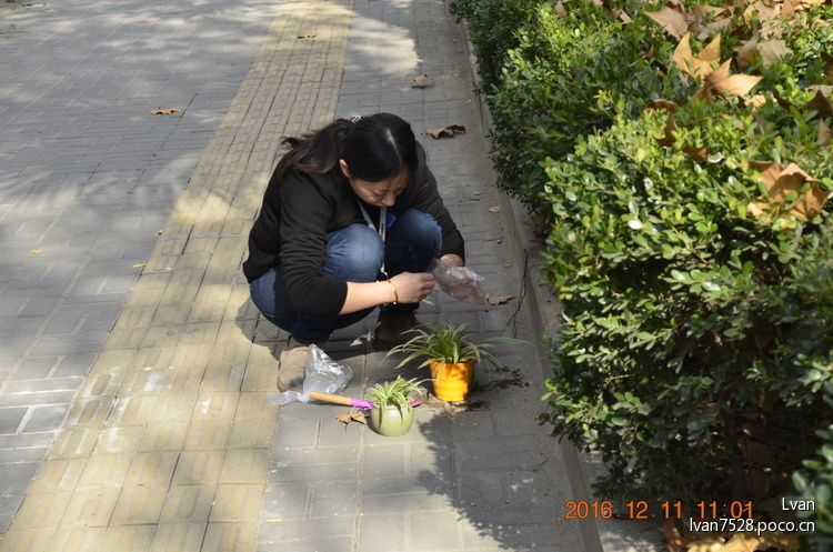 点击大图看下一张：山阴路与四川北路