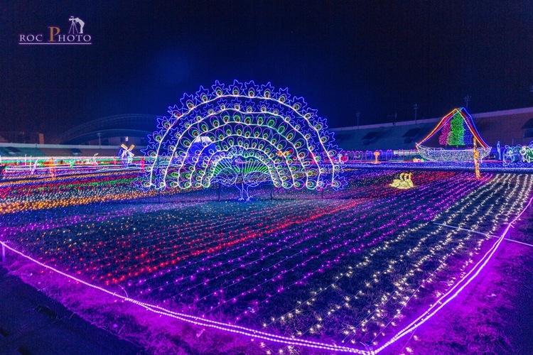 点击大图看下一张：保山奥体中心灯展夜景